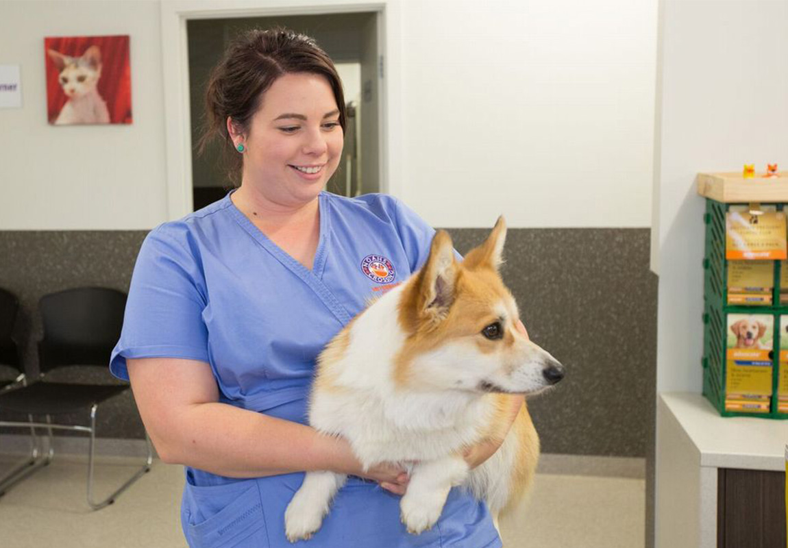 Noahs Crossing Vet - Patient Care Room