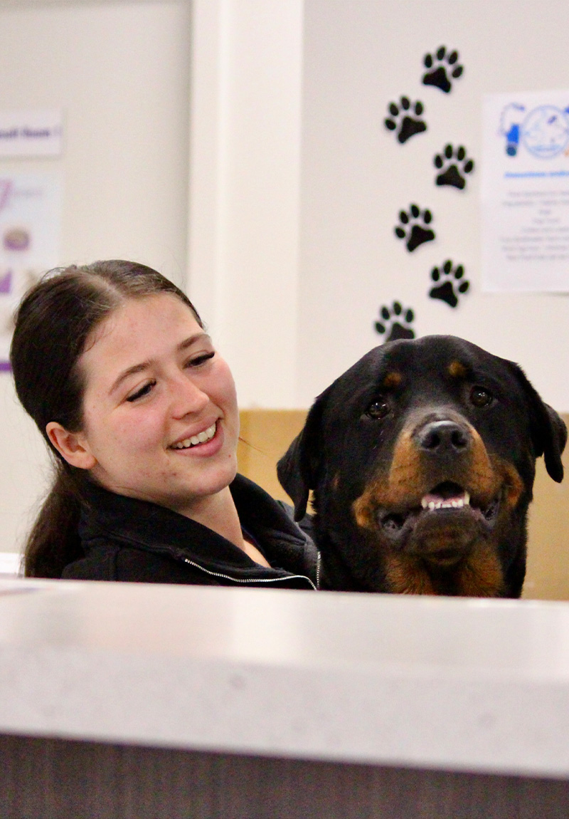 Noahs Crossing Vet - Thank You