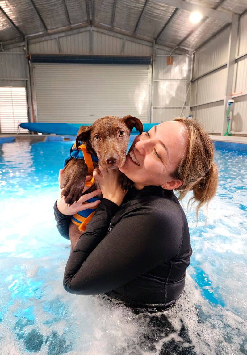 Noah's Crossing Vet - Super Pups Learn to Swim Program